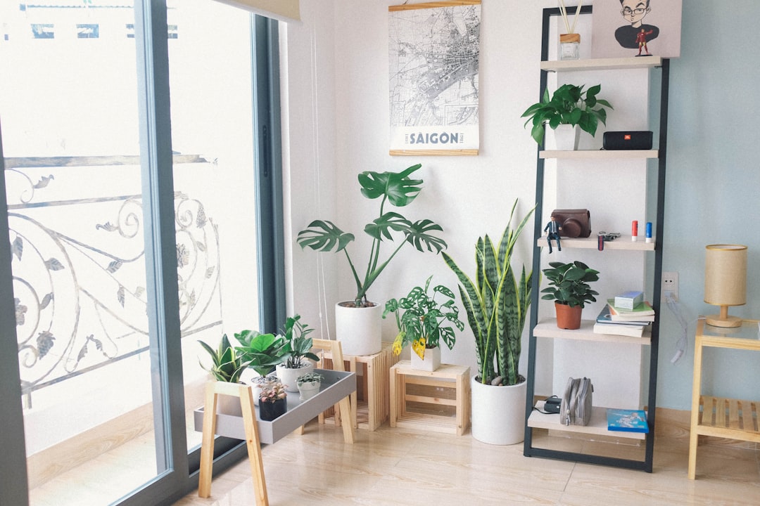 Photo Houseplant